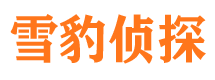 坊子外遇出轨调查取证